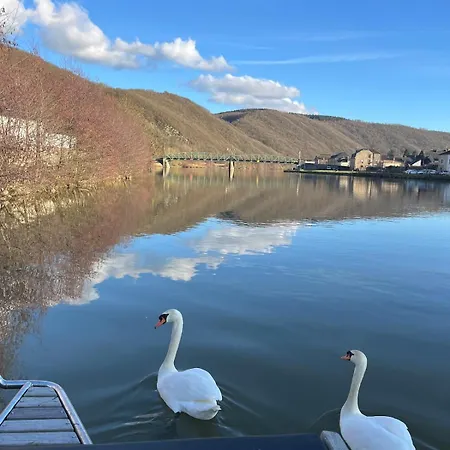 Bull' Expérience Braux (Ardennes)