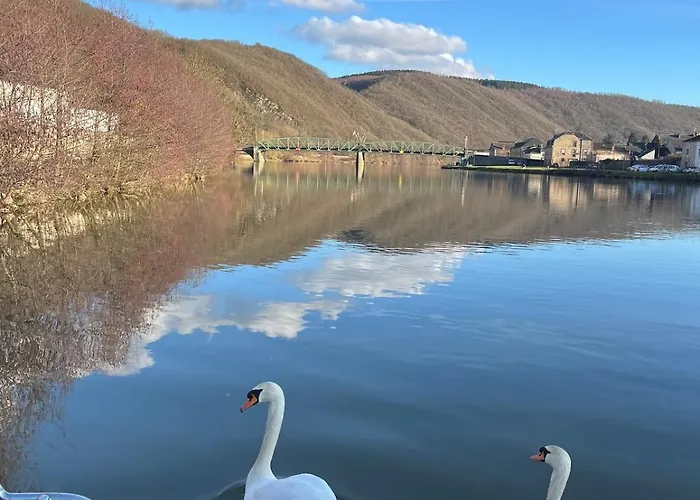 Bull' Expérience Braux (Ardennes)